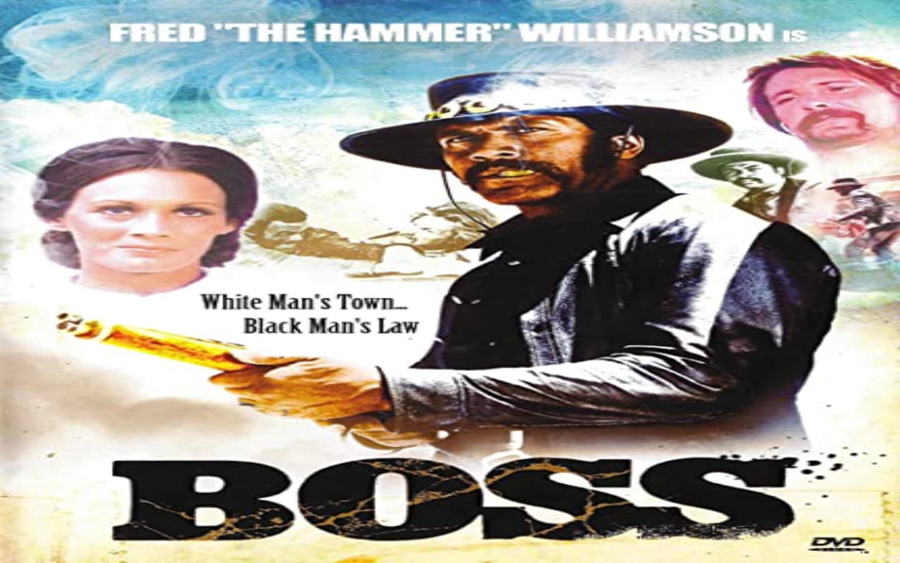 فيلم Boss Nigger 1974 مترجم موقع فشار