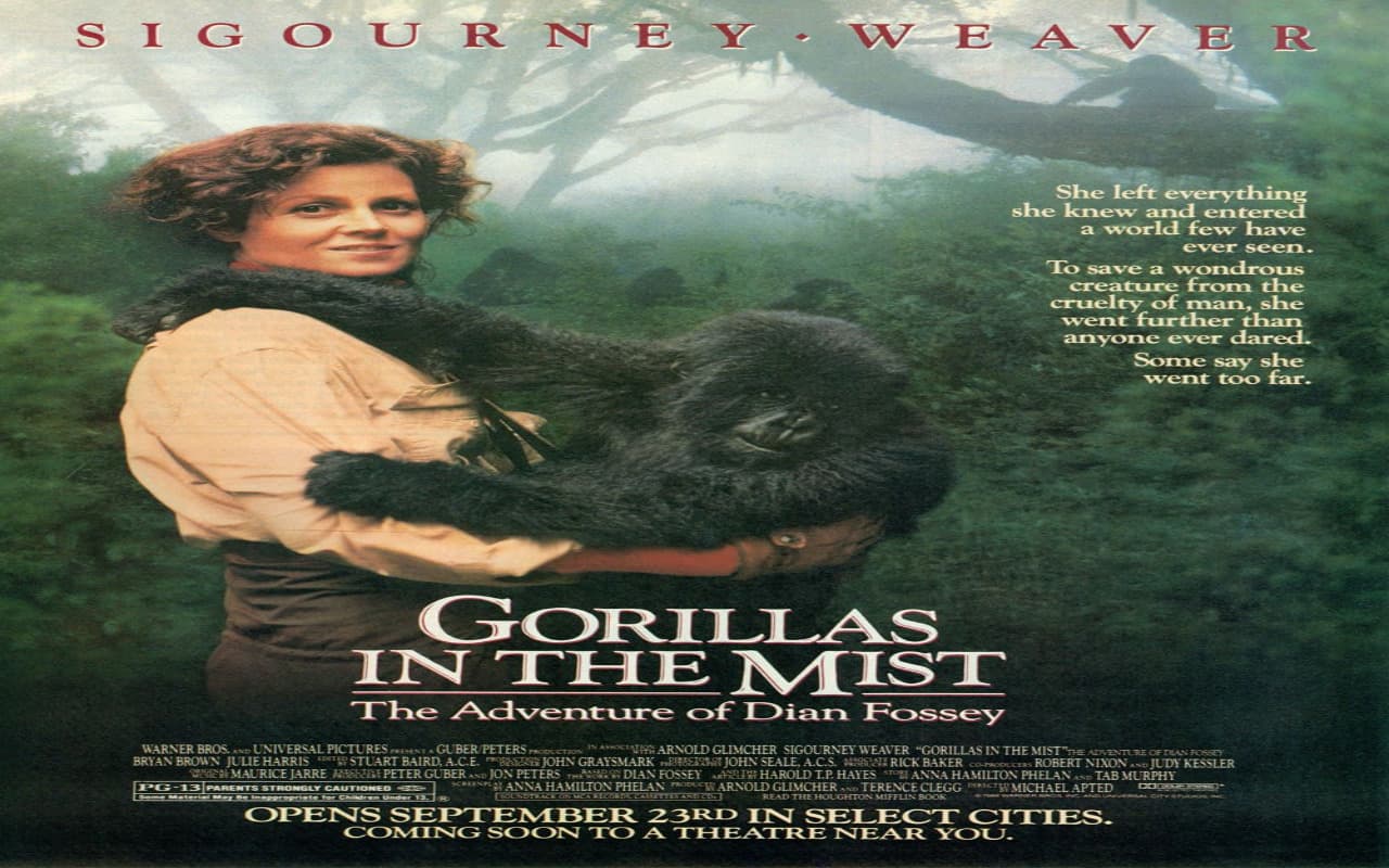 فيلم Gorillas in the Mist 1988 مترجم - موقع فشار